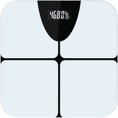 4G Weight Scale